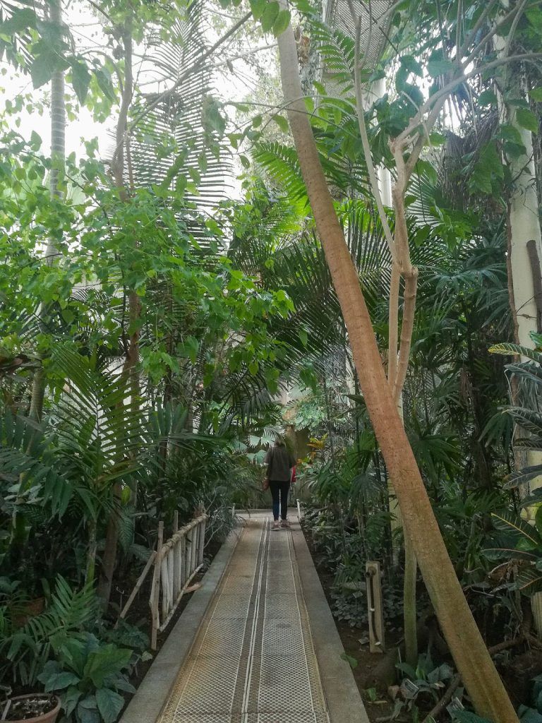 Jardin botanique de Dublin
