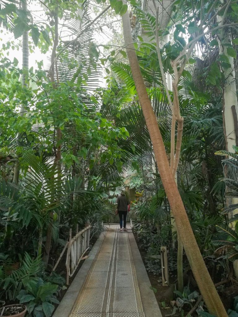 Jardin botanique de Dublin