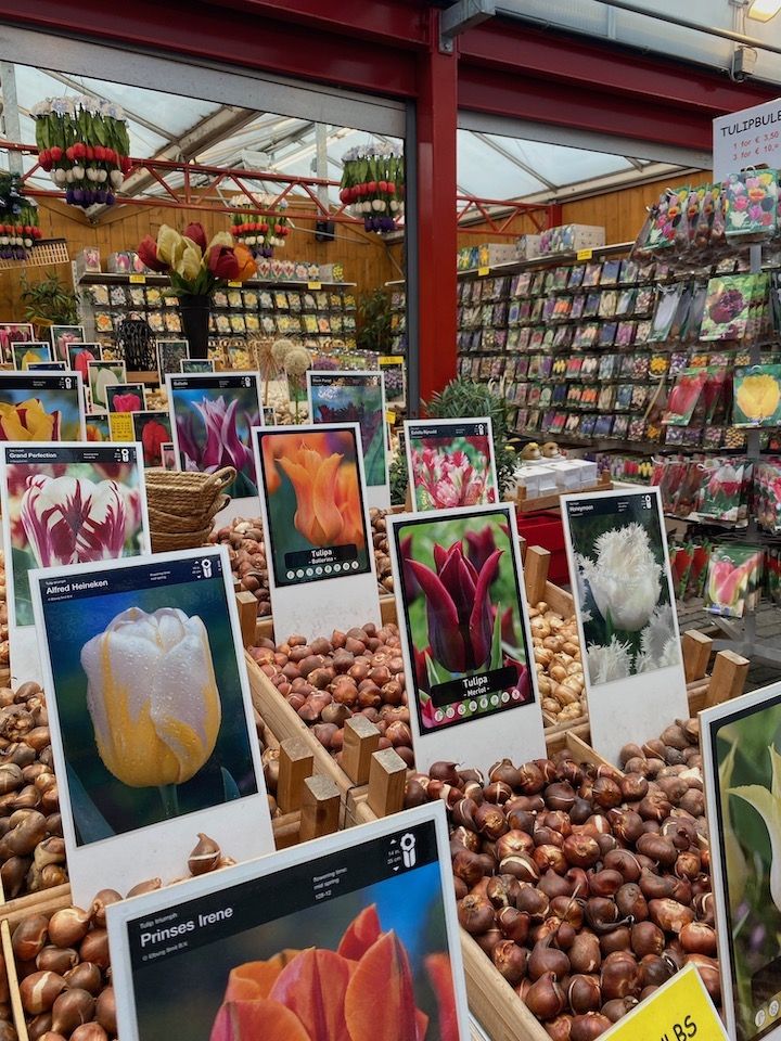 Etalage de tulipes au marché flottant aux fleurs Bloemenmarkt