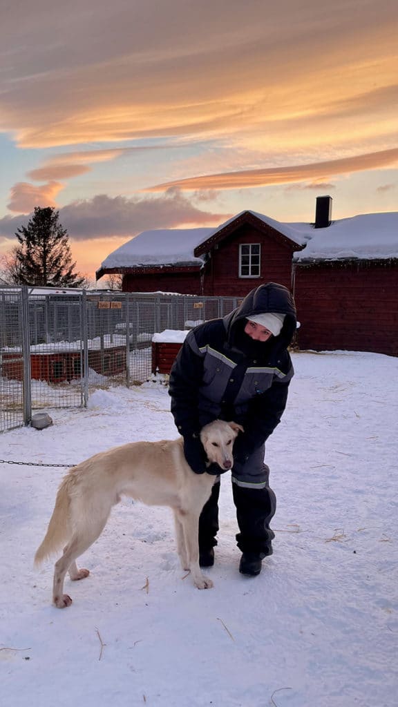 Jouer avec les chiens lors d'une sortie en traineau à Tromso