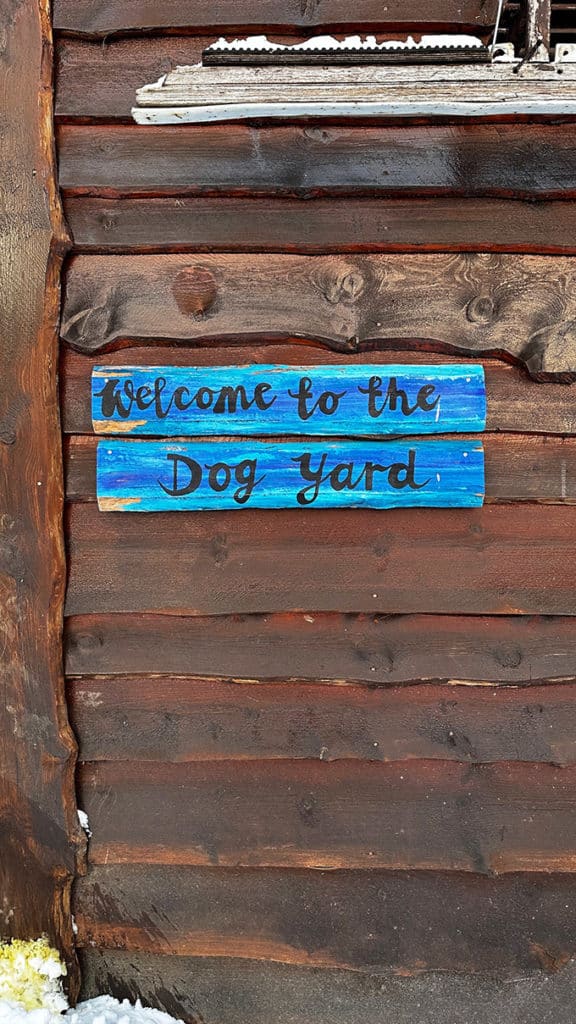 Dog yard, chenil chiens de traîneau à Tromso