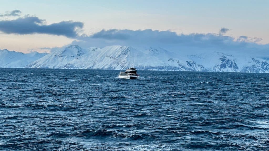 Magnifique paysage ors d'une excursion en bateau dans les fjords norvégien pour voir les baleines à Tromso