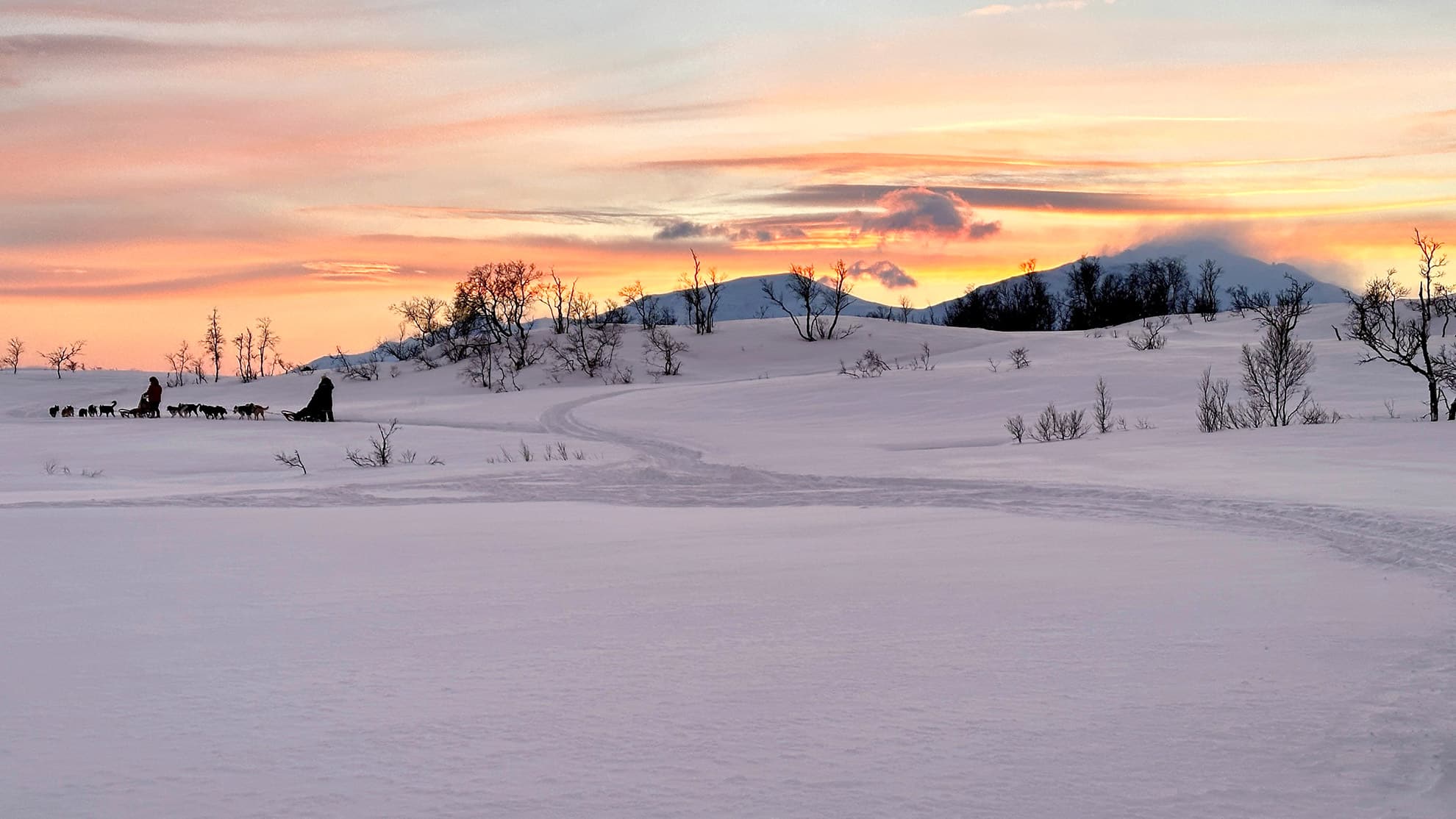 Paysage lors d'une excursion en chiens de traineau