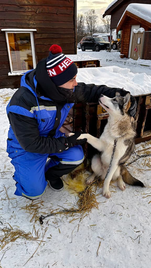 Caresses avec un husky lors d'une sortie en chiens de traineau à Tromso