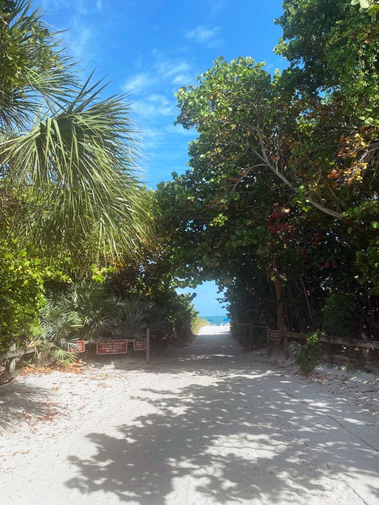 Zone sauvage et nature à Key Biscayne, Miami