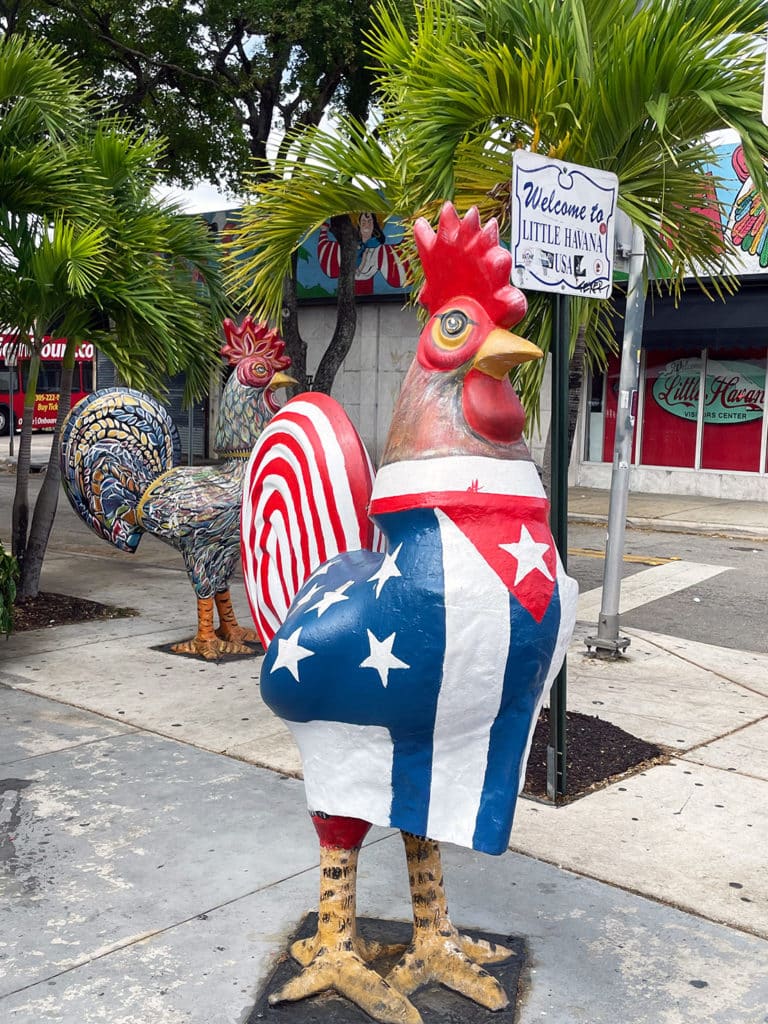 Coq de Little Havana Miami