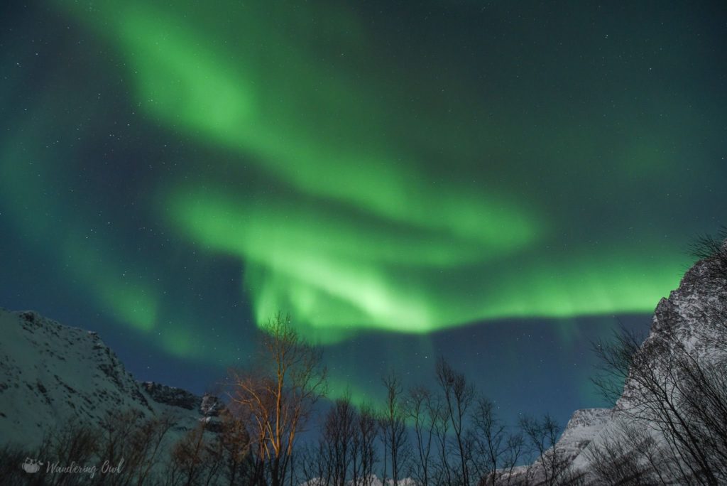 Excursion aurores boréales à Tromso au nord de la Norvège