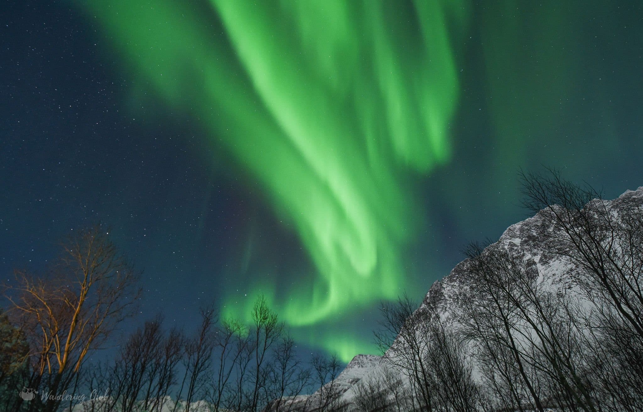 Excursion aurores boréales à Tromso, Norvège