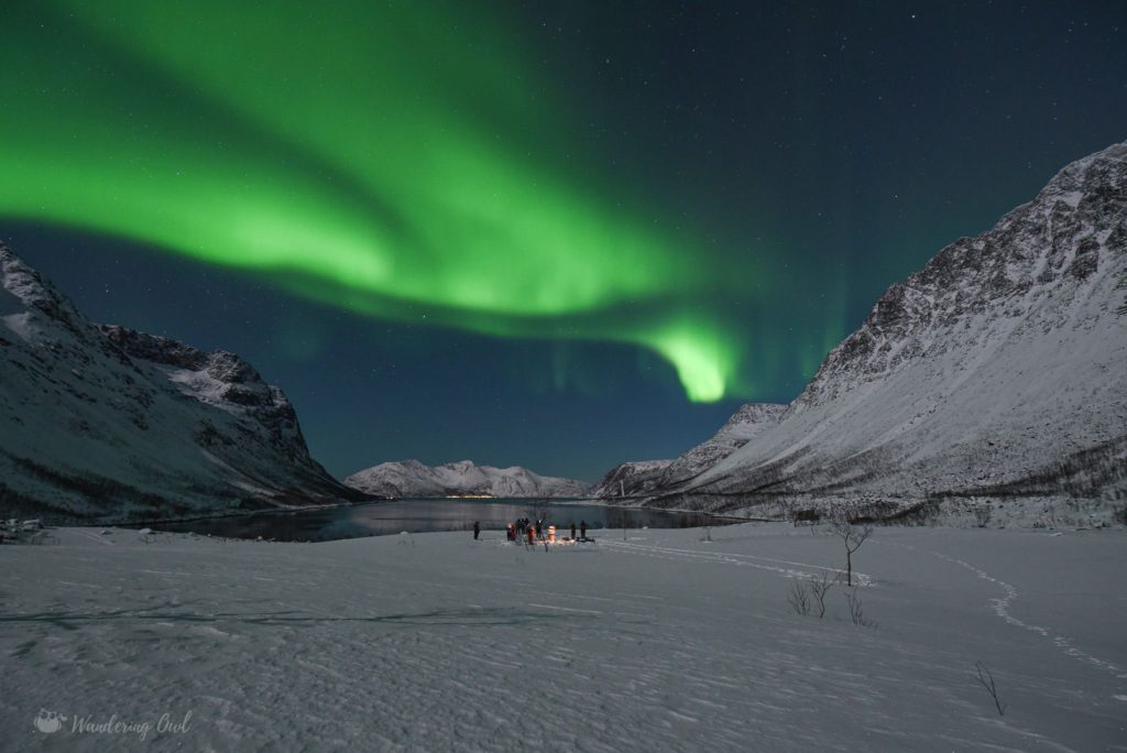 Image de l'article Aurores boréales à Tromsø en Norvège