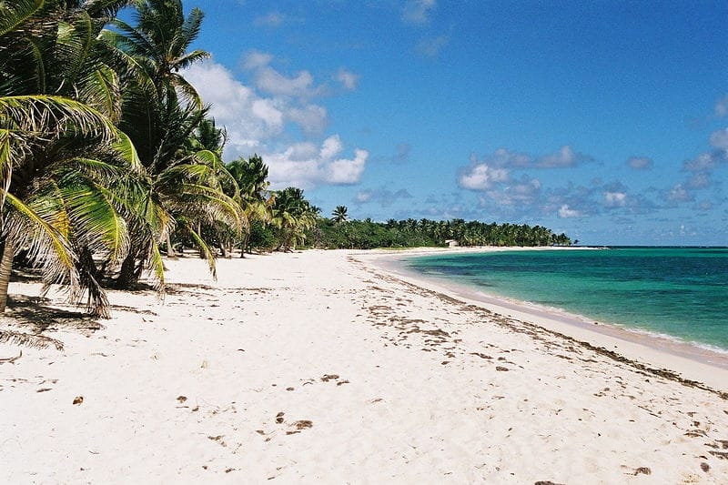 Plage paradisiaque de la Feuillère à Marie Galante