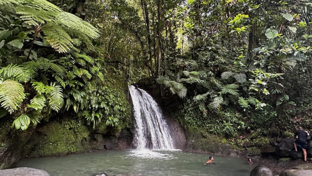 Cascade aux écrevisses en Guadeloupe
