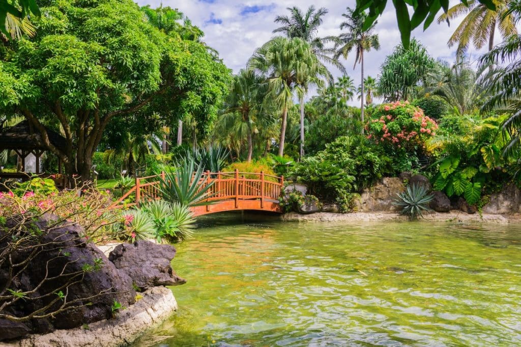 Jardin botanique de Deshaies en Guadeloupe