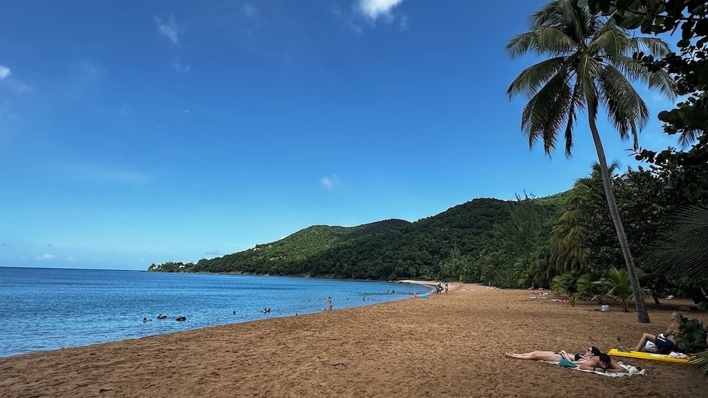 Plage de la Grande Anse en Guadeloupe