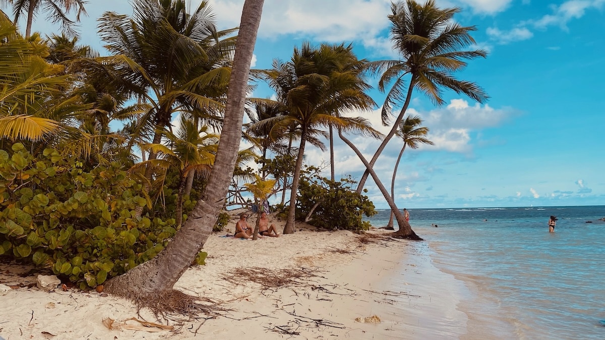 Plage typique de la Guadeloupe