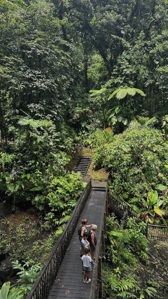 Sentier aménagé pour se rendre au 2ème Chute du Carbet en Guadeloupe