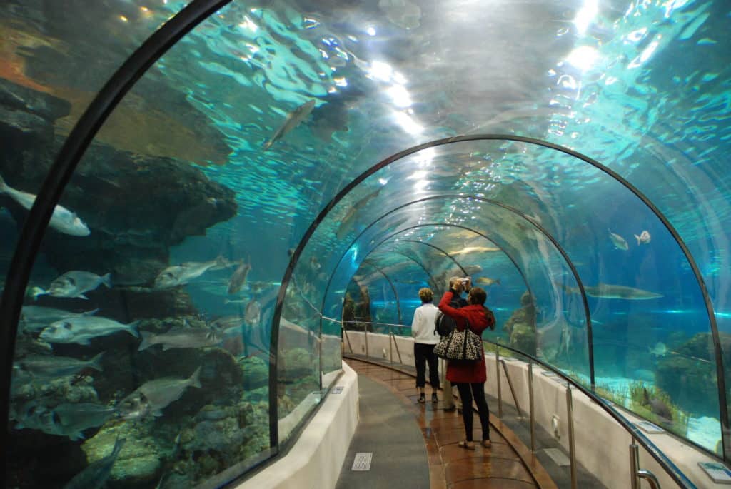 Tunnel de 80m de l'aquarium de Barcelone