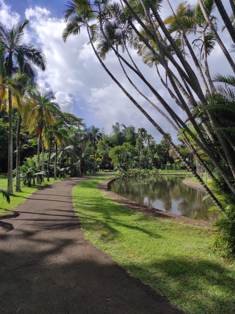 Promenade au jardin de pamplemousse a l'île maurice